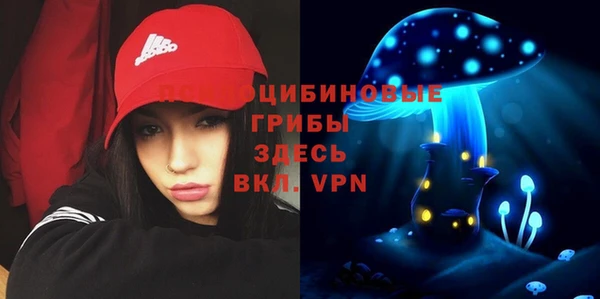 прущие грибы Лиски