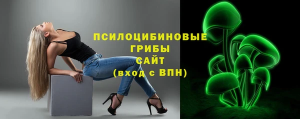 прущие грибы Лиски