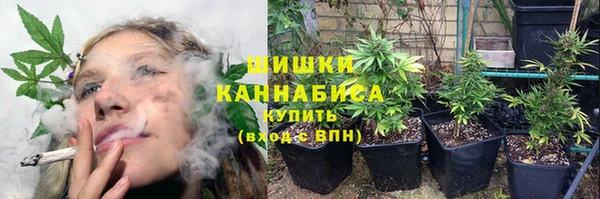 прущие грибы Лиски