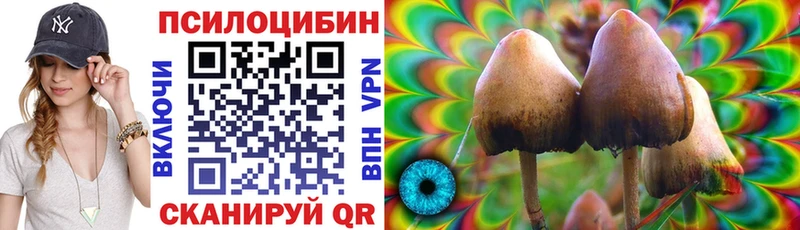 Галлюциногенные грибы GOLDEN TEACHER  Купить где  Чусовой 